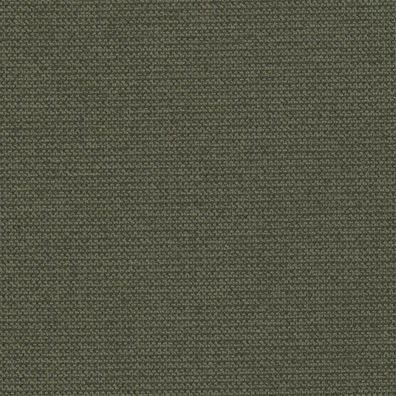 color_point 38