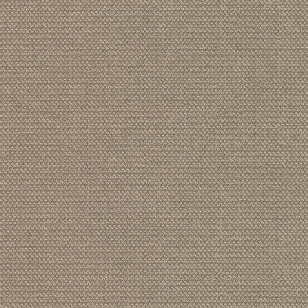 color_point 13